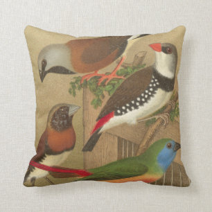 Five Colourful Pet Birds Perched on a Branch Throw Pillow