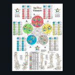 Five Elements of Acupuncture Points Poster<br><div class="desc">The five elements theory of acupuncture poster. The wall chart list the element points (Fire, Earth, Metal, Water and Wood). All colour coordinated for each of the meridians. The Back Shu, Front Mu, Source, Luo, Xi Cleft, Entry, Exit and Horary points are listed in large type for each meridian. The...</div>