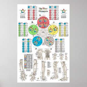 Five Elements of Acupuncture Points Poster