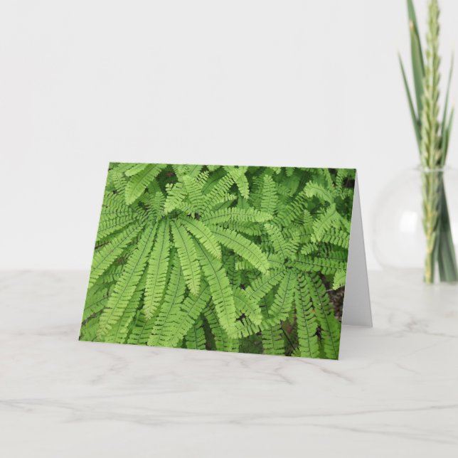 Five Finger Maidenhair Fern Card (Front)