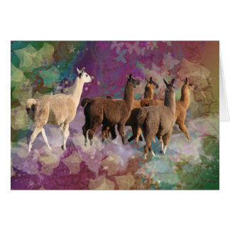 Five Llama Cloud Walk Fantasy White & Brown LLamas