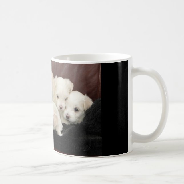 Five Maltese Puppies On A Variety Of Mugs (Right)