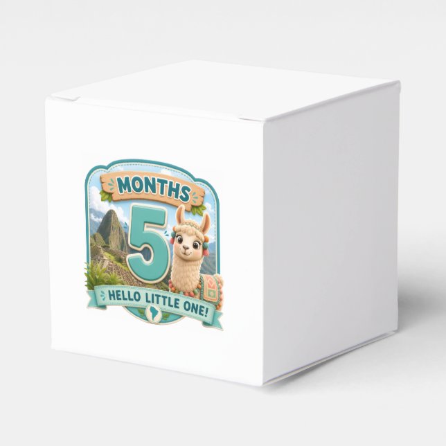 Five Months of Little Adventures Milestone Favor Box (Front Side)