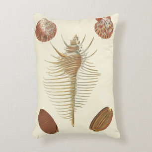 Five of a Kind Seashells Accent Pillow