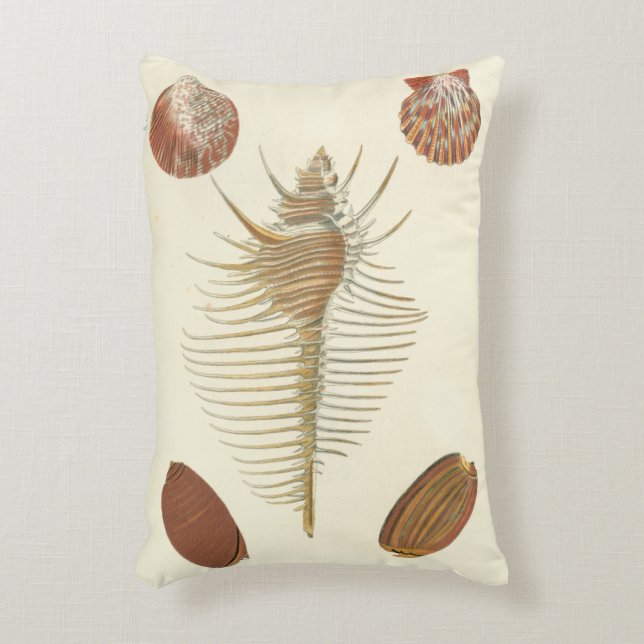 Five of a Kind Seashells Accent Pillow (Front(Vertical))