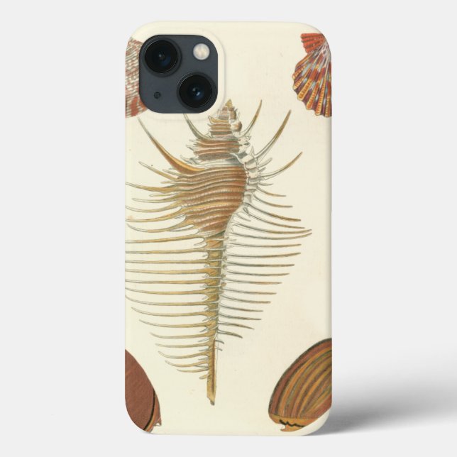 Five of a Kind Seashells Case-Mate iPhone Case (Back)