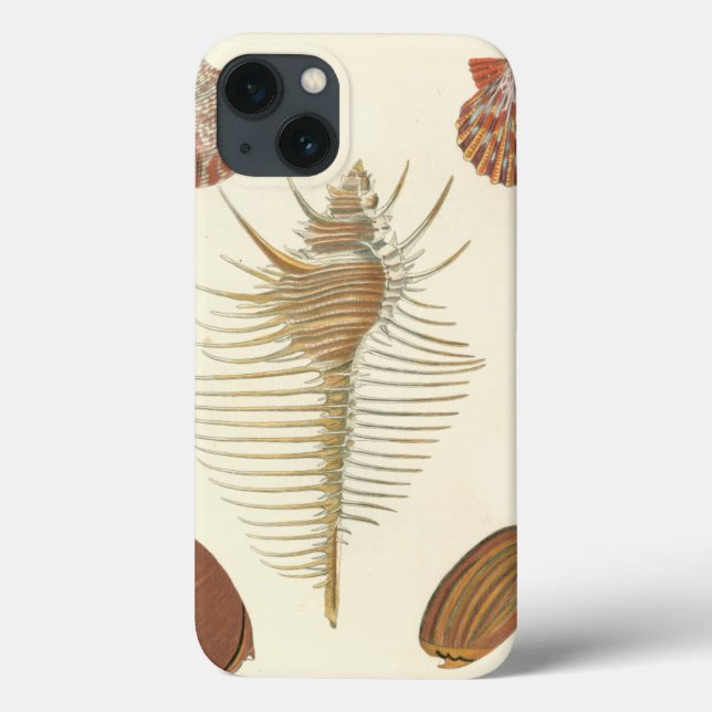 Five of a Kind Seashells Case-Mate iPhone Case (Back)