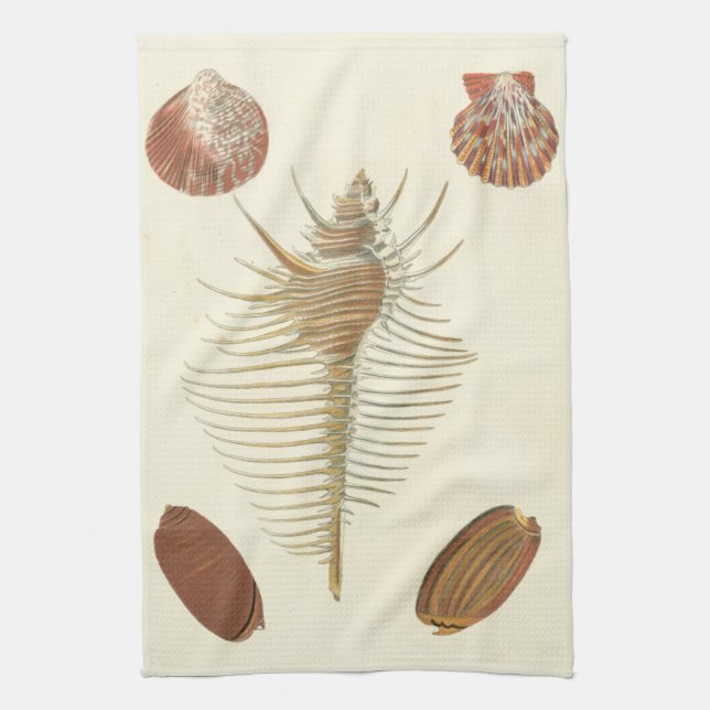 Five of a Kind Seashells Kitchen Towel (Vertical)