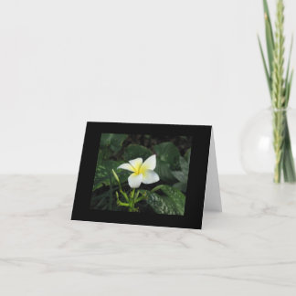 "Five Petals" Note Card