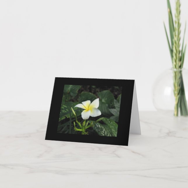 "Five Petals" Note Card (Front)