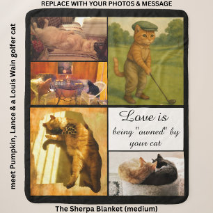 Five Photo Cat Themed Personalized Medium Pet Sherpa Blanket