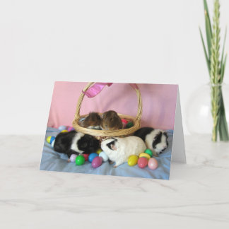 Five Pigs & A Basket Holiday Card