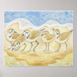 Five Plovers on the Beach art print