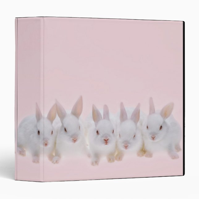 Five Rabbits 2 Binder (Front/Spine)