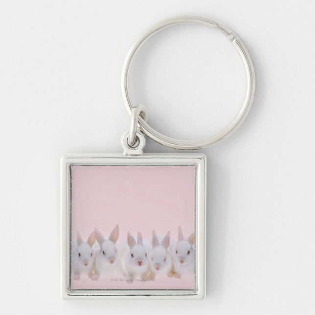 Five Rabbits 2 Keychain (Front)