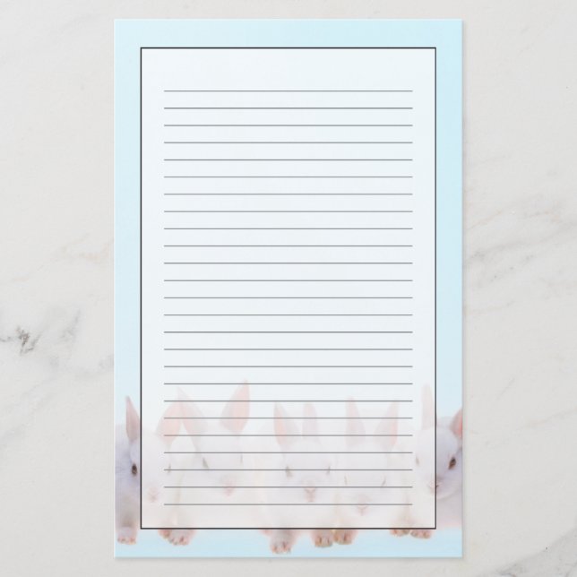 Five Rabbits Stationery (Front)