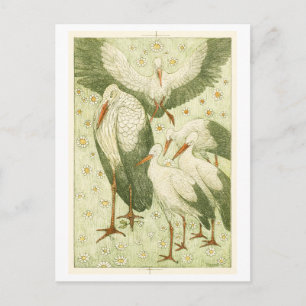 Five storks in a meadow (ca. 1878–1917) print  postcard