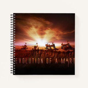 Five Successful Mars Rovers Notebook