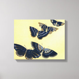 Five Vintage Butterflies Canvas Print