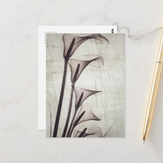 Five Vintage X-Ray Flowers Postcard (Front/Back In Situ)