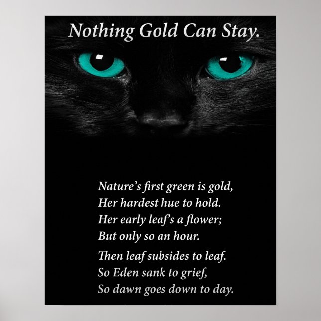 Fixed Eyes Poster (Front)