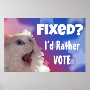 Fixed? I’d Rather Vote  Poster