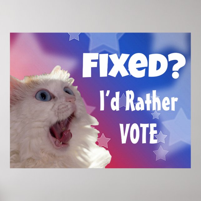 Fixed? I’d Rather Vote  Poster (Front)