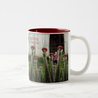 Fizzledorfs Crane Farm Two-Tone Coffee Mug