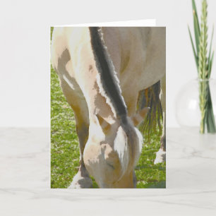 Fjord greeting card