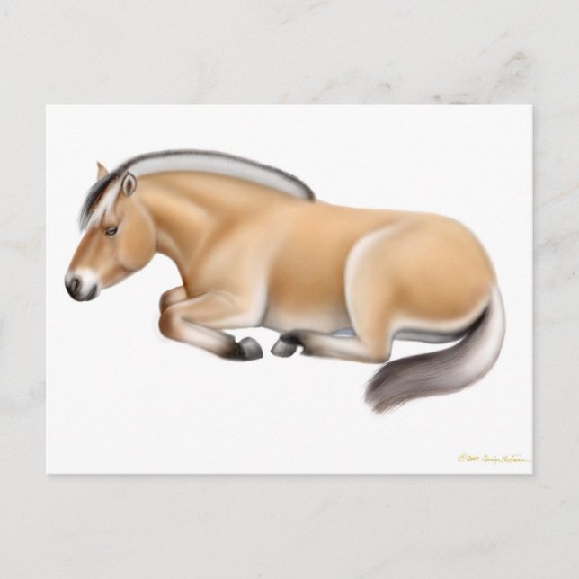 Fjord Horse au repos Carte postale (Devant)