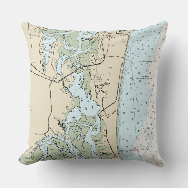 FL_AmeliaIsland11488 Throw Pillow (Front)