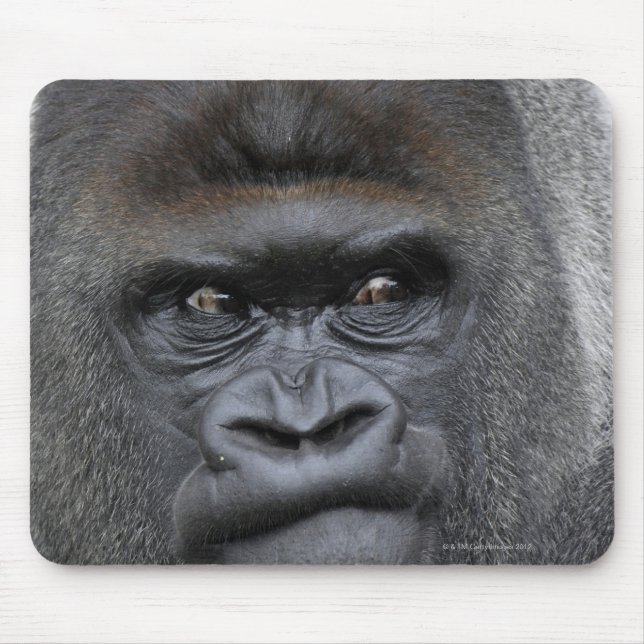 Flachland Gorilla Mouse Pad (Front)