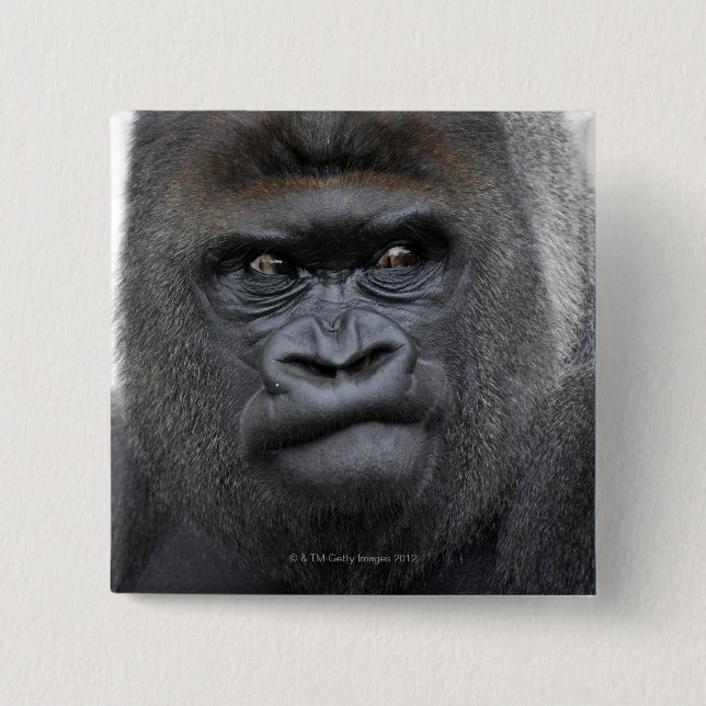 Flachlandgorilla, Gorilla gorilla, 2 Inch Square Button (Front)