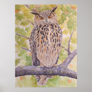 Flaco the Eurasian Eagle Owl  Poster