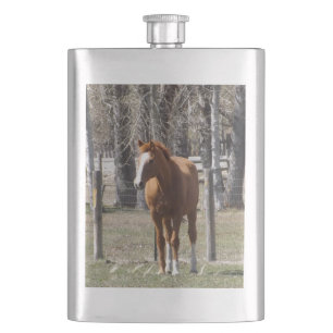 Flacon de cheval de châtaigne