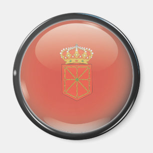 Flag and shield of Navarre Magnet