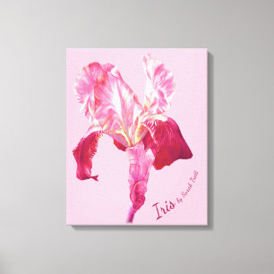 Flag Iris red and pink hued boxed canvas