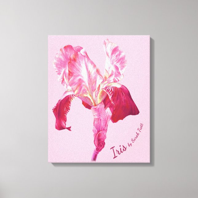 Flag Iris red and pink hued boxed canvas Print (Front)