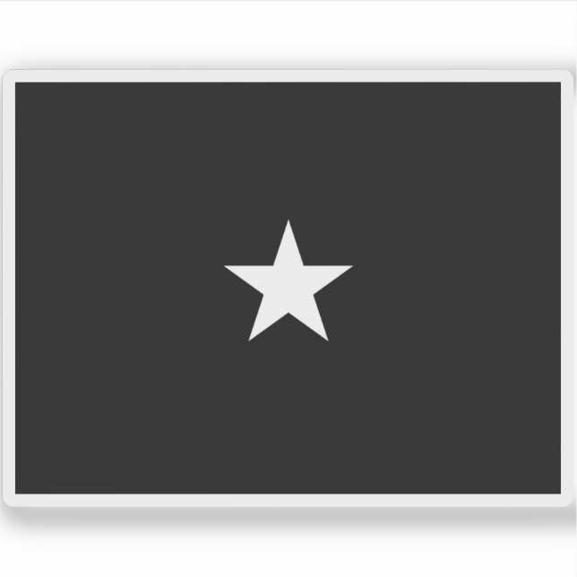 Flag of a U.S. Space Force brigadier general (Front)