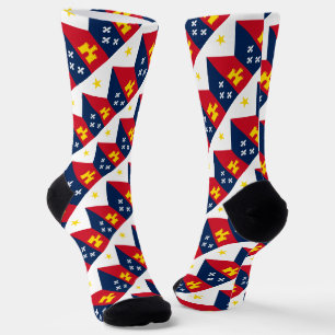 Flag of Acadiana Socks