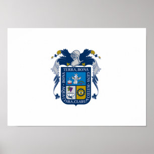 Flag of Aguascalientes Poster