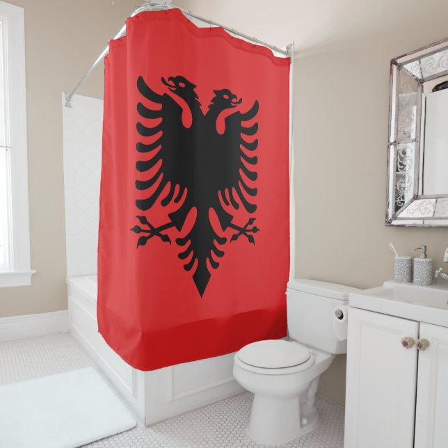Flag of Albania (In Situ)