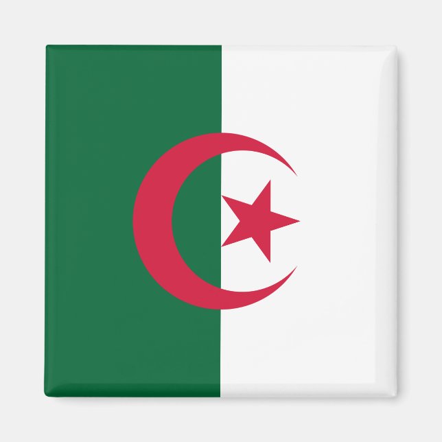 Flag of Algeria Magnet (Front)