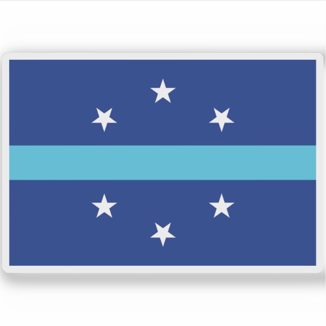 Flag of Anaheim, California (2018–2019) (Front)