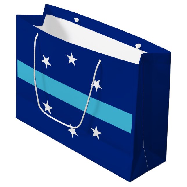 Flag of Anaheim, California Large Gift Bag (Front Angled)