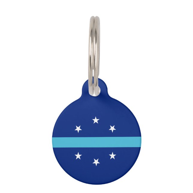 Flag of Anaheim, California Pet Tag (Front)
