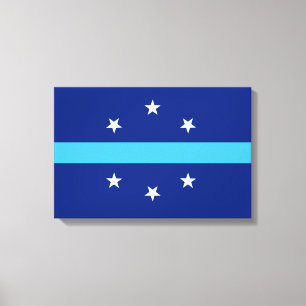 Flag of Anaheim (California, USA) Canvas Print