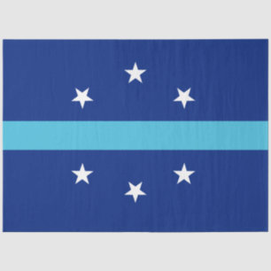 Flag of Anaheim (California, USA) Tissue Paper