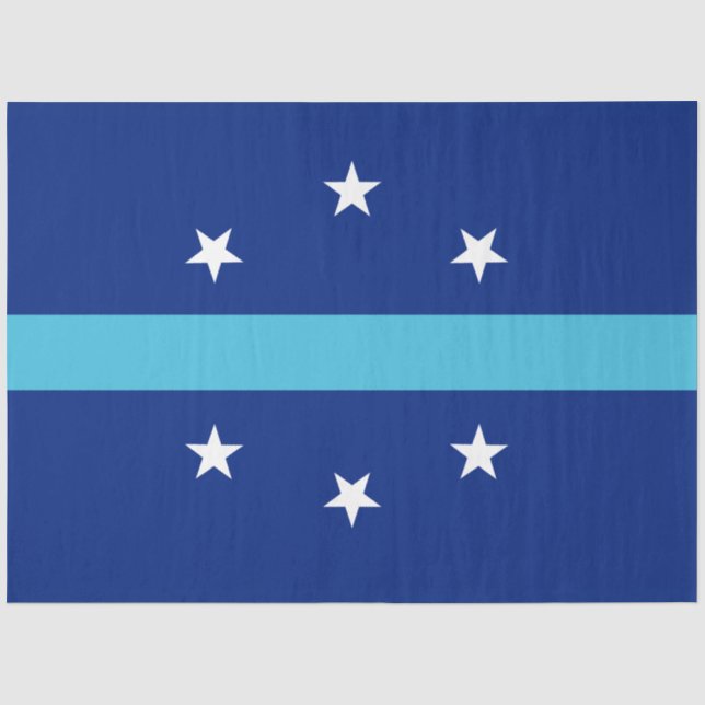 Flag of Anaheim (California, USA) Tissue Paper (Front)