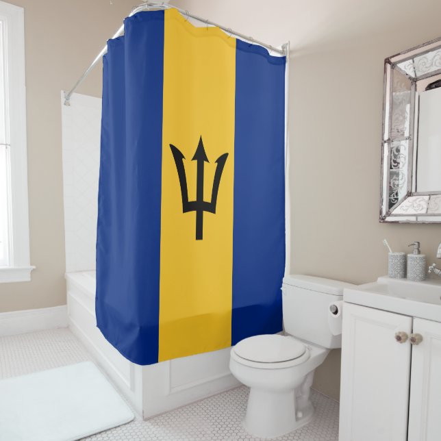 Flag of Barbados (In Situ)